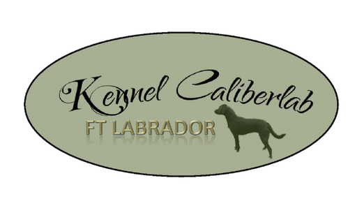 Kennel Caliberlab FT labrador retriever formel 1 hvalpe 